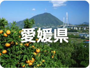 愛媛県